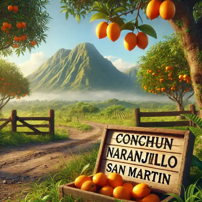 conchun naranjillo peru
