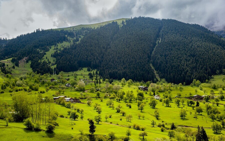 arash behroozi woodland hills
