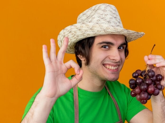 ok human production papaya films country