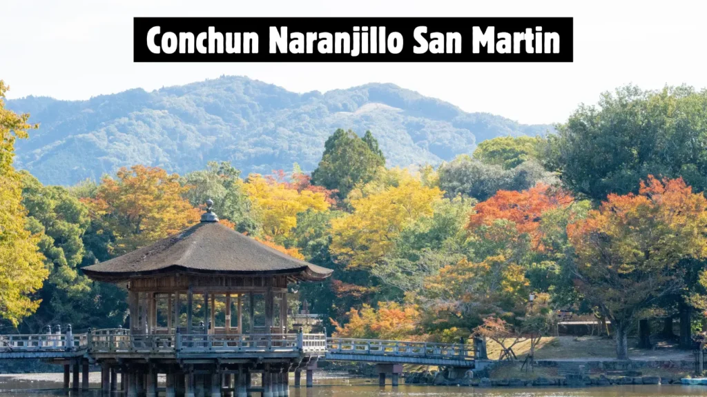 conchun naranjillo peru
