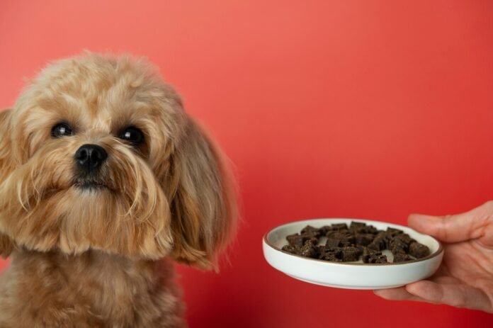 naturo dog food