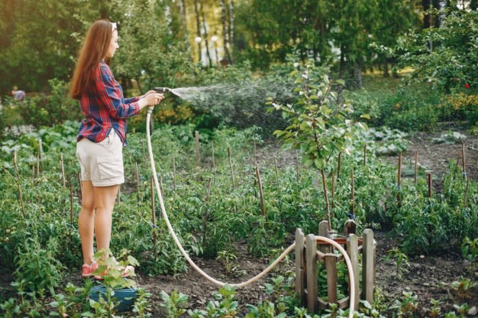 garden hose reel