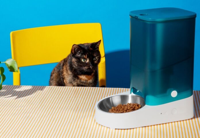 blink cat food