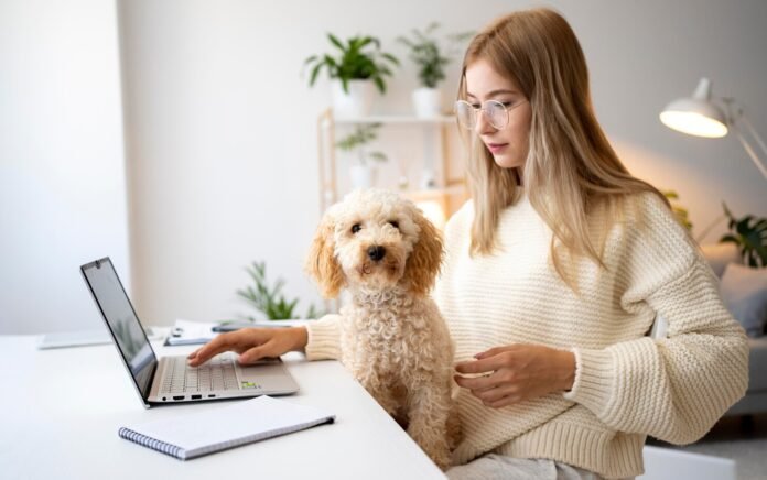 pets at home careers